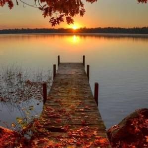 Meet your Posher, Gail